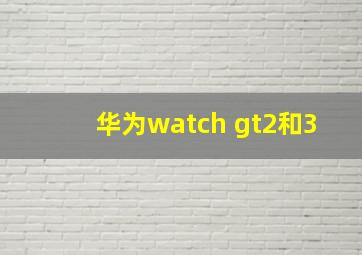 华为watch gt2和3